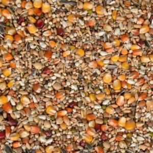 Mixtura Palomas SPORT PREMIUM N187