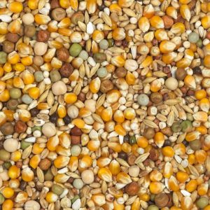 Mixtura Palomas PICHONES