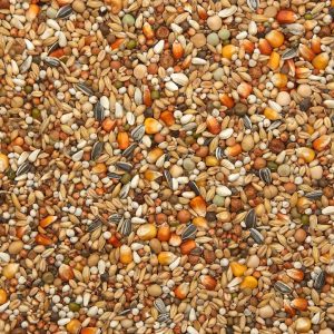 MIXTURA PALOMAS MUDA Exclusiva