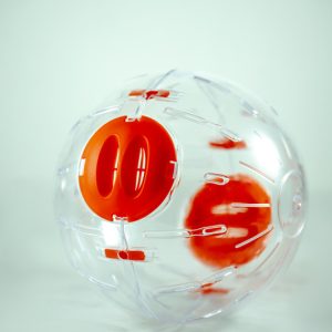 Baloon Small Esfera Hamster