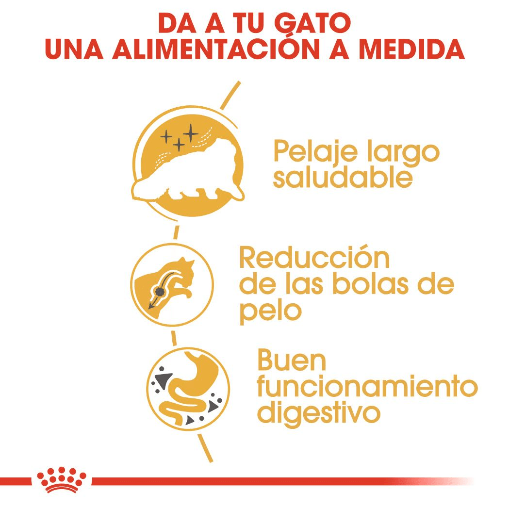 ROYAL CANIN PERSIAN-Gato 2kg - Imagen 5