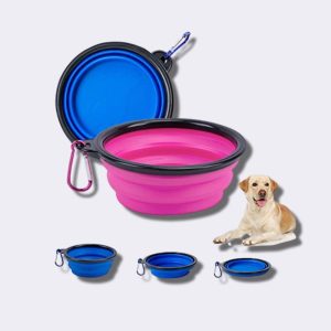 PLATOS Y BEBEDEROS PARA PERROS EN GUATEMALA