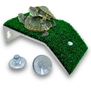 Rampa Isla para Tortugas Talla S