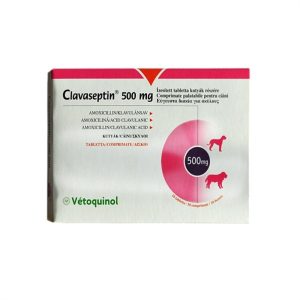 Clavaseptin 500 Blister 10 Comprimidos