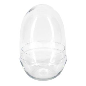 Terrario huevo de vidrio 15 × 23 cm