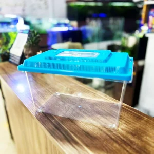 Acuario Acrílico Funcional Para Peces, Anfibios, reptiles o insectos.