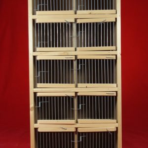 Transportin aves 10 departamentos