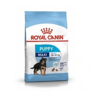 Royal Canin SHN MAXI Cachorros