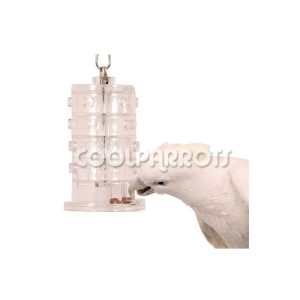 Anillos de la fortuna