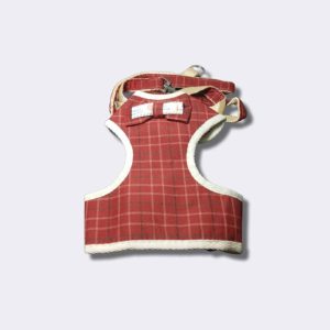 Collares y correas de perros en Guatemala