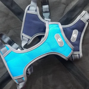 Arnés Talle M. Sin tirones