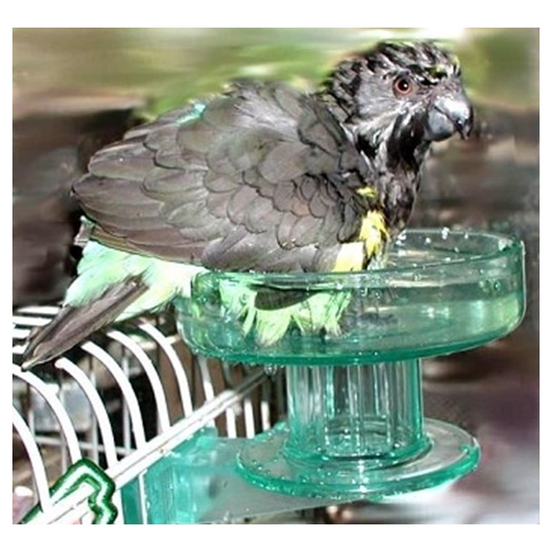 Bañera Bird Bath para pequeñas aves Lixit