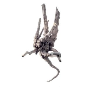 Black Forest Spiderwood M