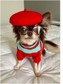 Sombrero de invierno