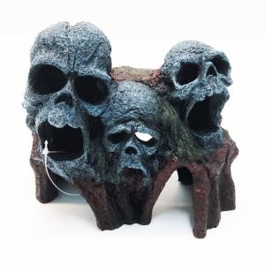 Calaveras sobre rocas