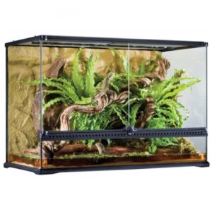 Terrario Exo Terra Large Tall