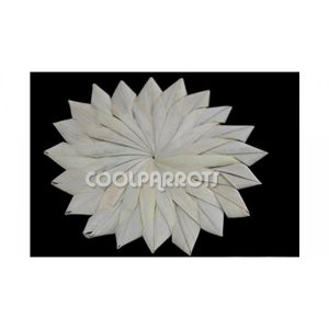 Flor de hoja de palmera