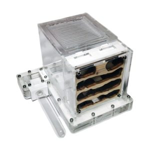 Hormiguero vertical de madera con zona de forrajeo integrada