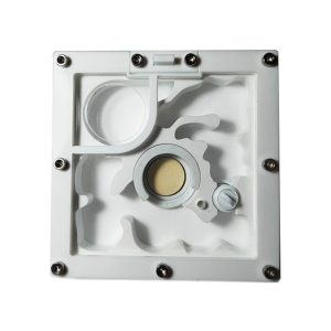 Hormiguero con seta 10 x 10