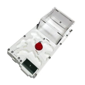 Hormiguero 10 x 20 seta + esponja con zona de forrajeo