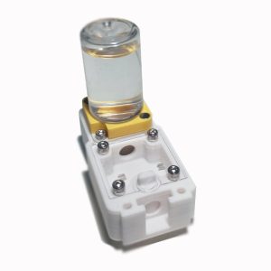 Hormiguero 3D de 7×4,5cm (Reinero)