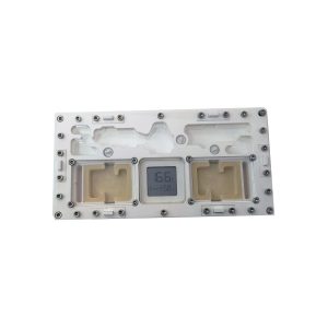 Hormiguero yeso acrilico 10 X 20