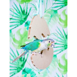 Huevo de cartón de forrajeo