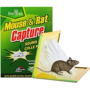 TRAMPA ADHESIVA PARA RATÓN 17*12 CM