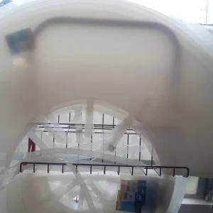 Collar Isabelino XXL