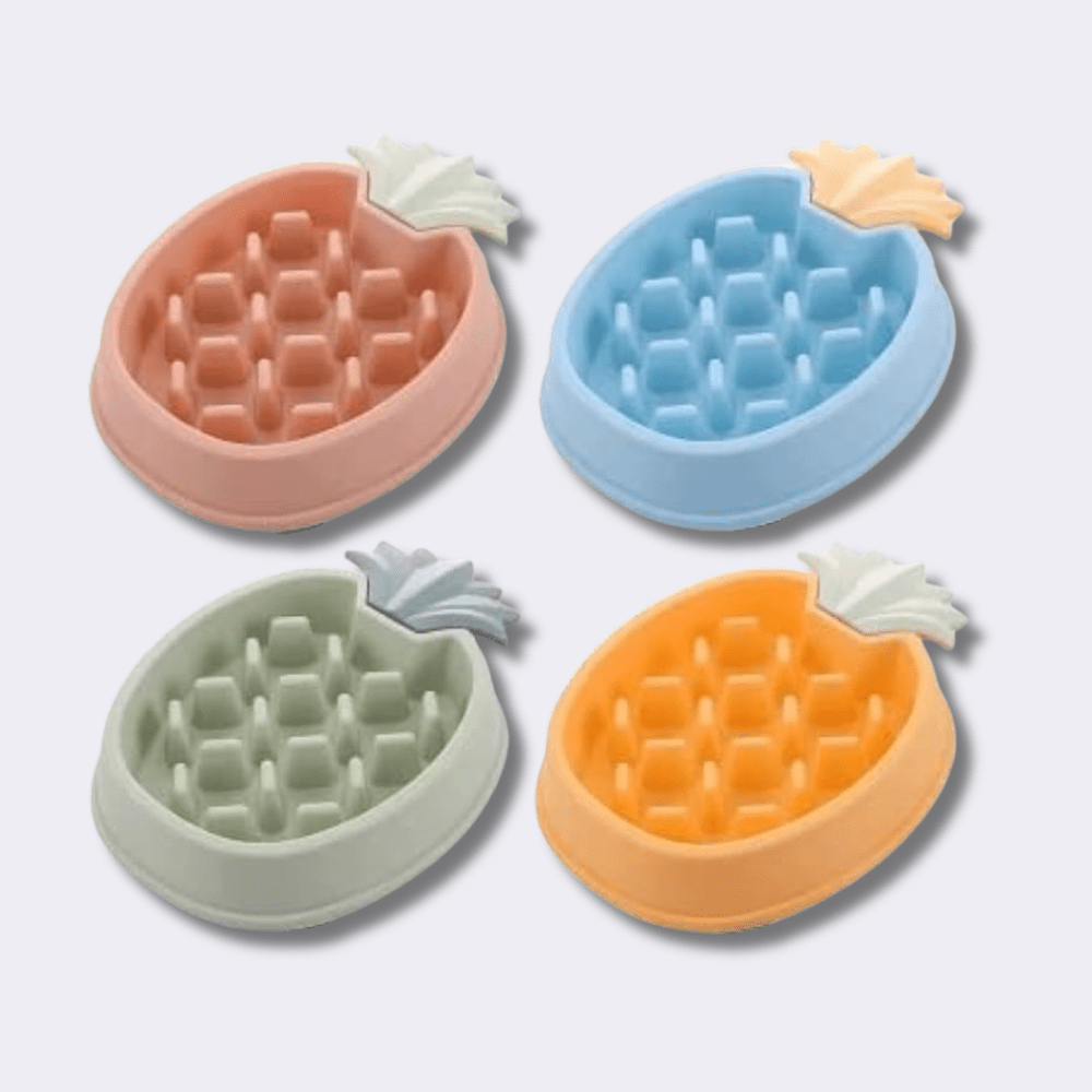 PLATOS Y BEBEDEROS PARA PERRO EN GUATEMALA