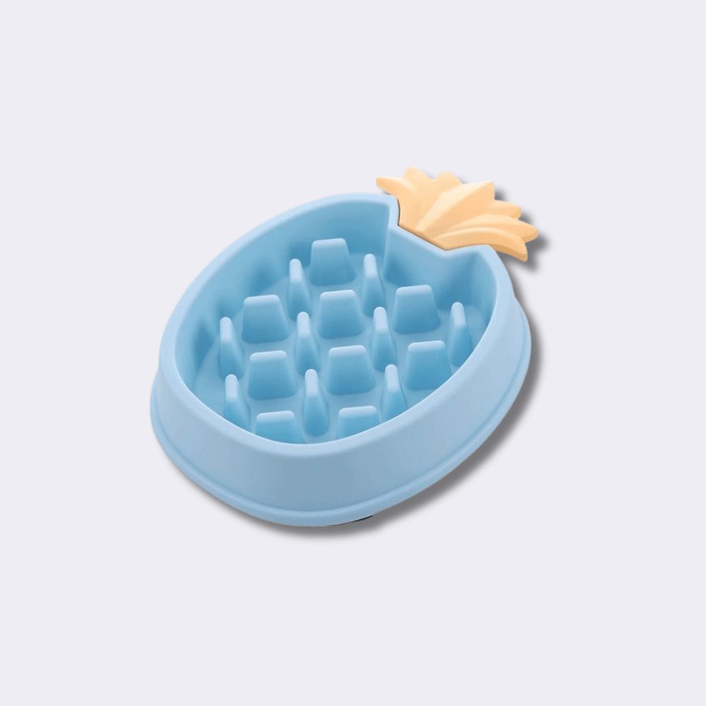 PLATOS Y BEBEDEROS PARA PERRO EN GUATEMALA - Imagen 7