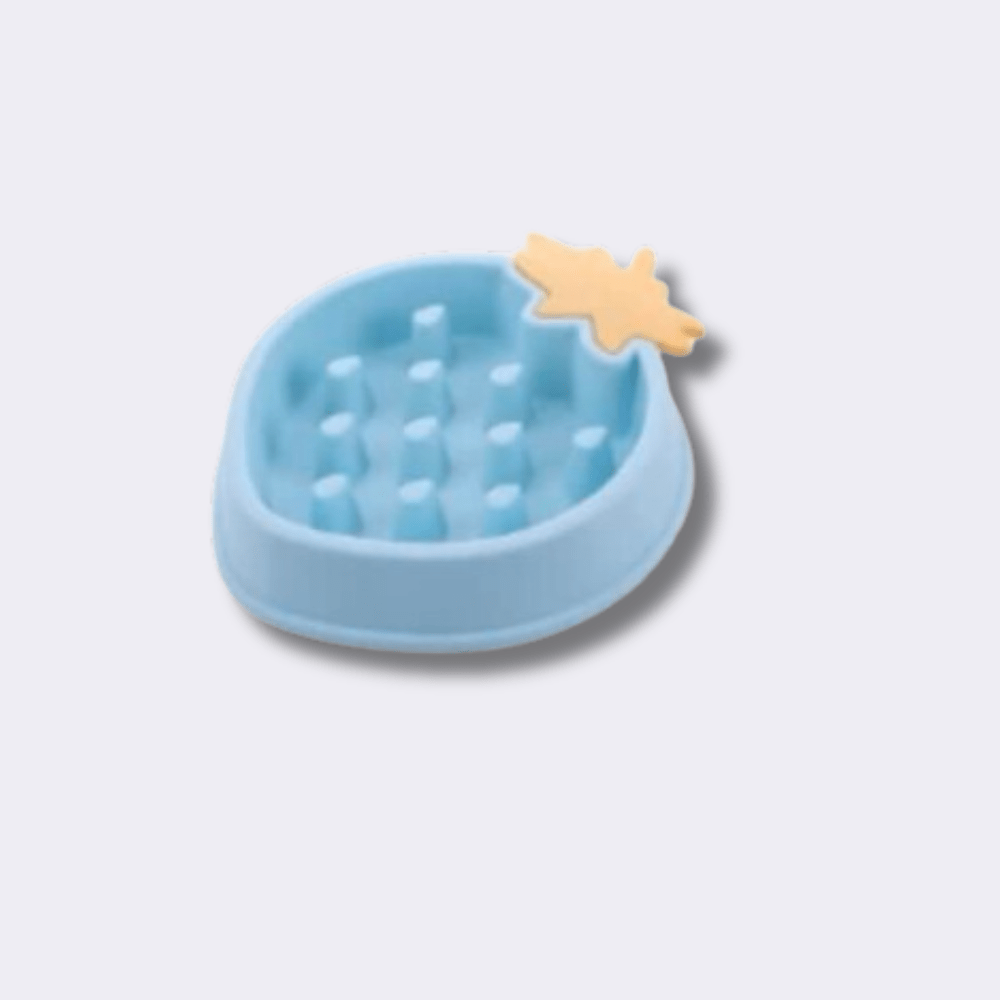 PLATOS Y BEBEDEROS PARA PERRO EN GUATEMALA - Imagen 6