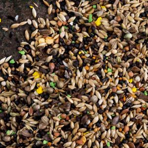 Mixtura Jilgueros y Silvestres