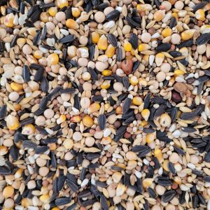 Mixtura Palomas MUDA