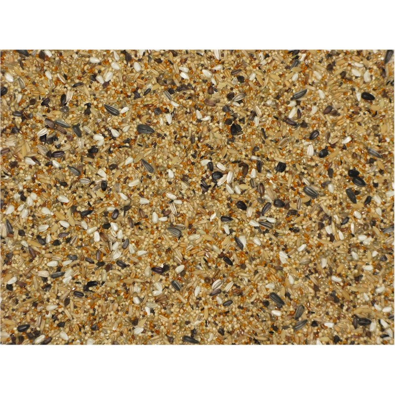 Mixtura pequeñas aves Prestige 3 tamaños - Imagen 2