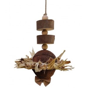 Natural Shredding Big Coconut