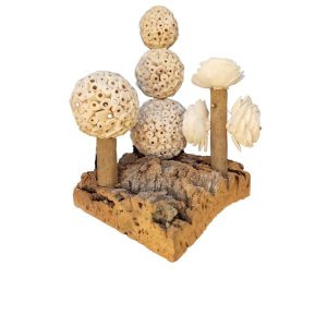 Natural Shredding botanic garden