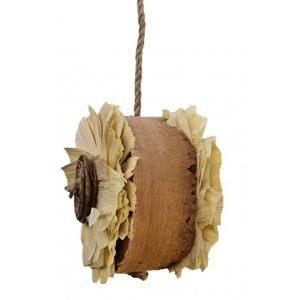 Natural Shredding Corky Flower