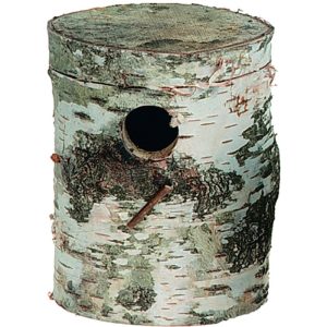 Nido de abedul para pequeños exóticos