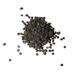 Huevos de gusanos de seda