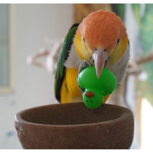 Patito de goma neón