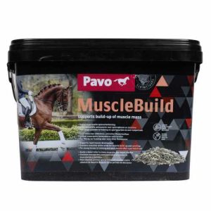 Pavo MuscleBuild caballos