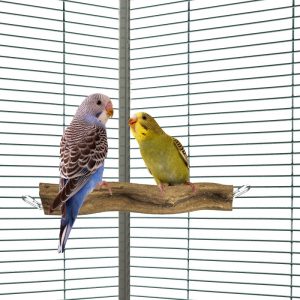 Percha Snake de esquina