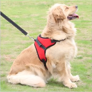 ARNES REFORZADO ACOLCHONADO M