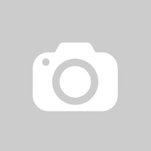 Arion adult light 1kg