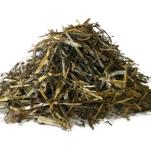 Forraje caballos Ryegrass RS10 Caleya