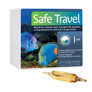 Ampolla Safe Travel Prodibio