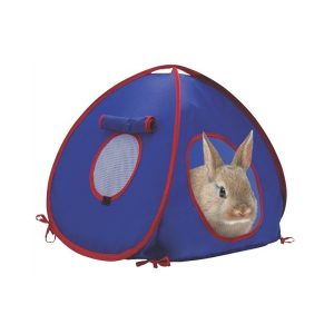 Tienda de campaña living world (2 tamaños)