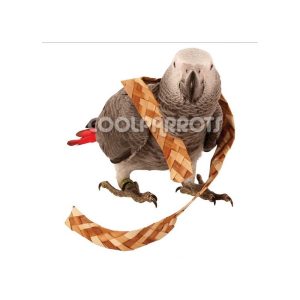 Trenza de hoja de palmera 50 cm.