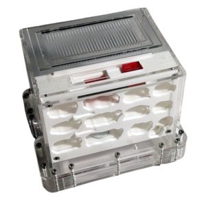 HORMIGUERO VERTICAL SETA